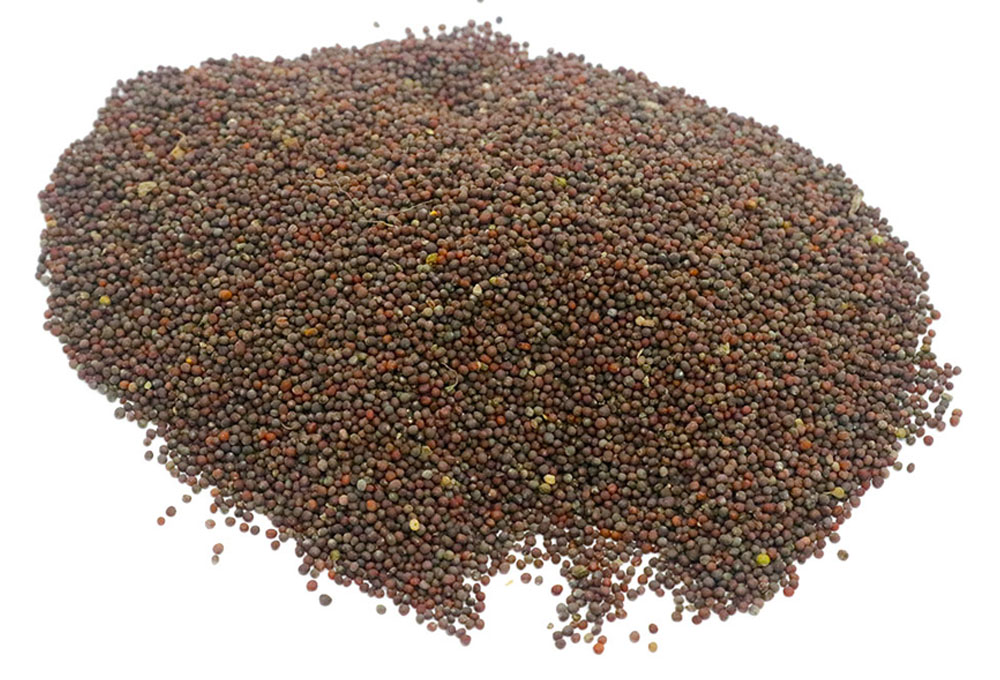 Mustard Seeds